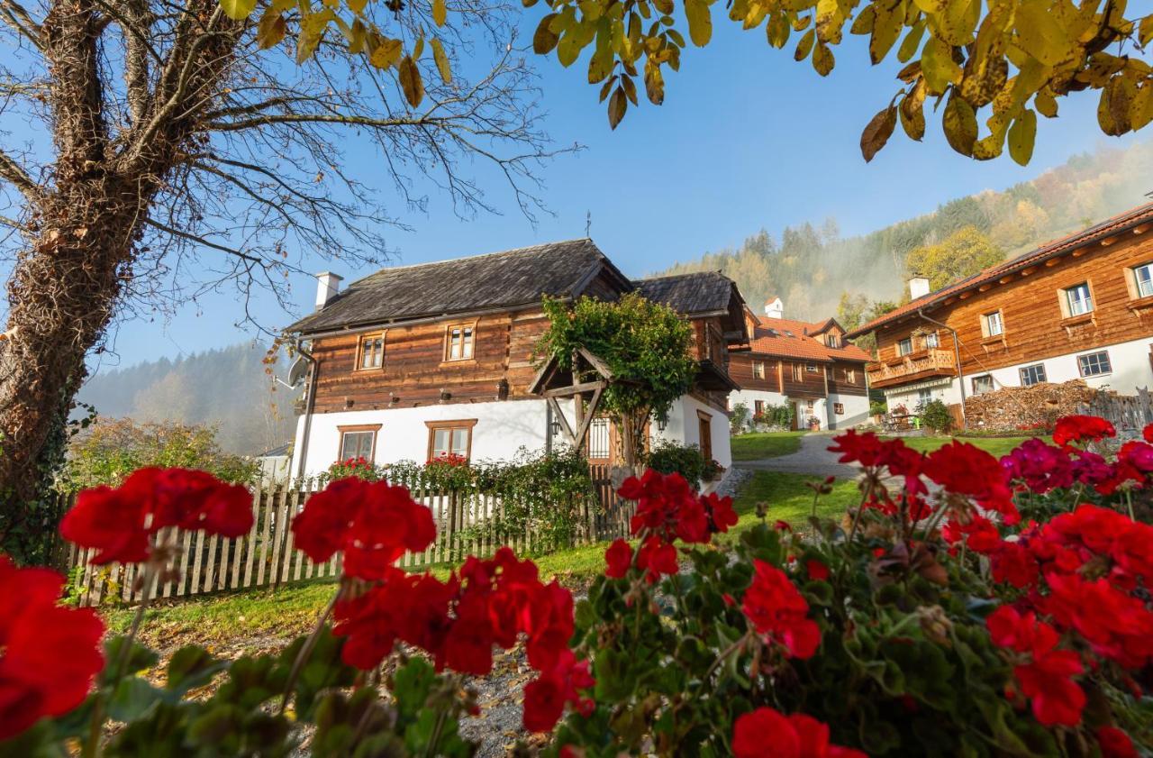 Troadkasten - Ferienhaus Am Bio-Bergbauernhof Aflenz Kurort Εξωτερικό φωτογραφία